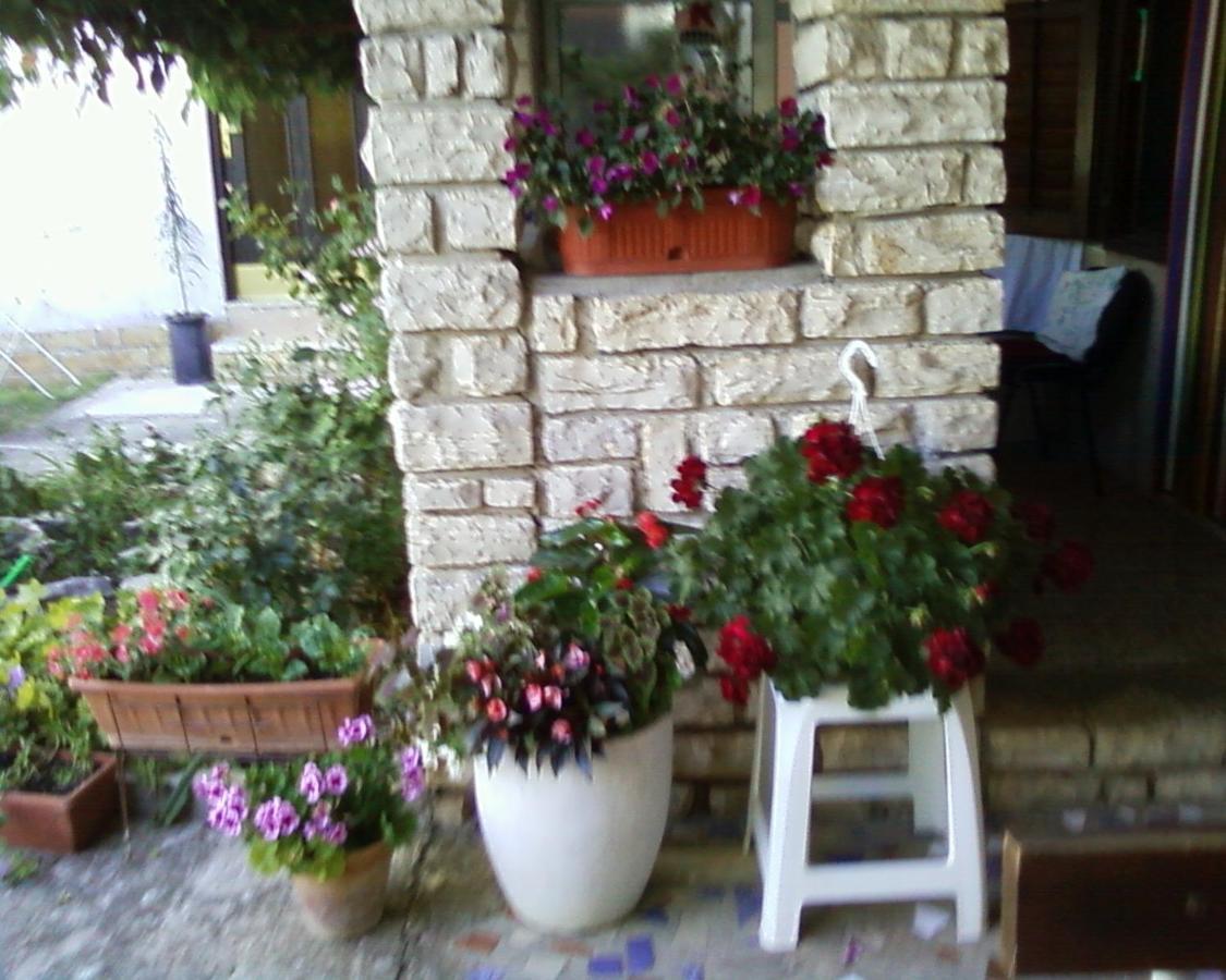 Apartments M&R Spadina Vodice Kültér fotó